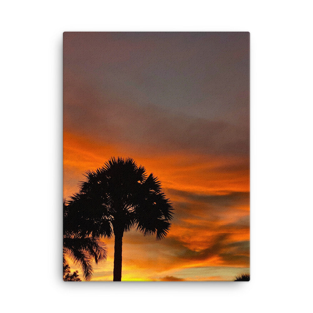 Fiery Palm