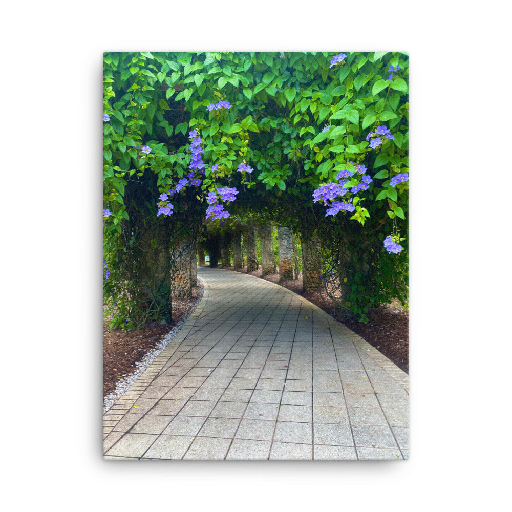 A Stroll Through The Gardens