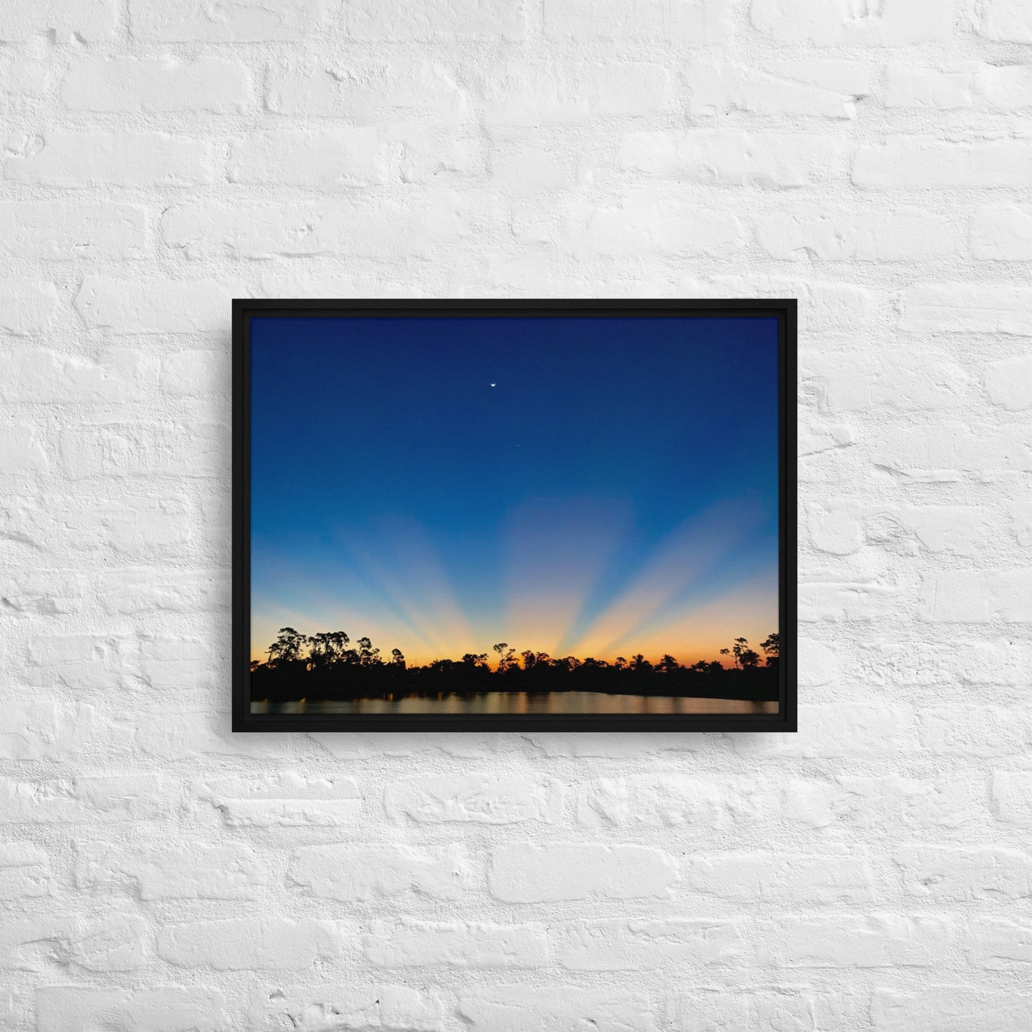 Morning Rays (Framed Canvas)