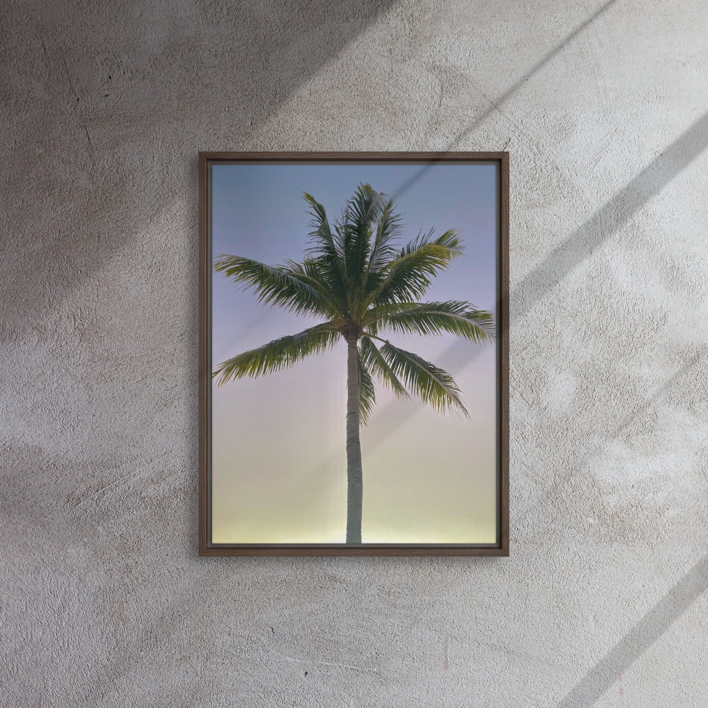 Morning Palm (Framed Canvas)