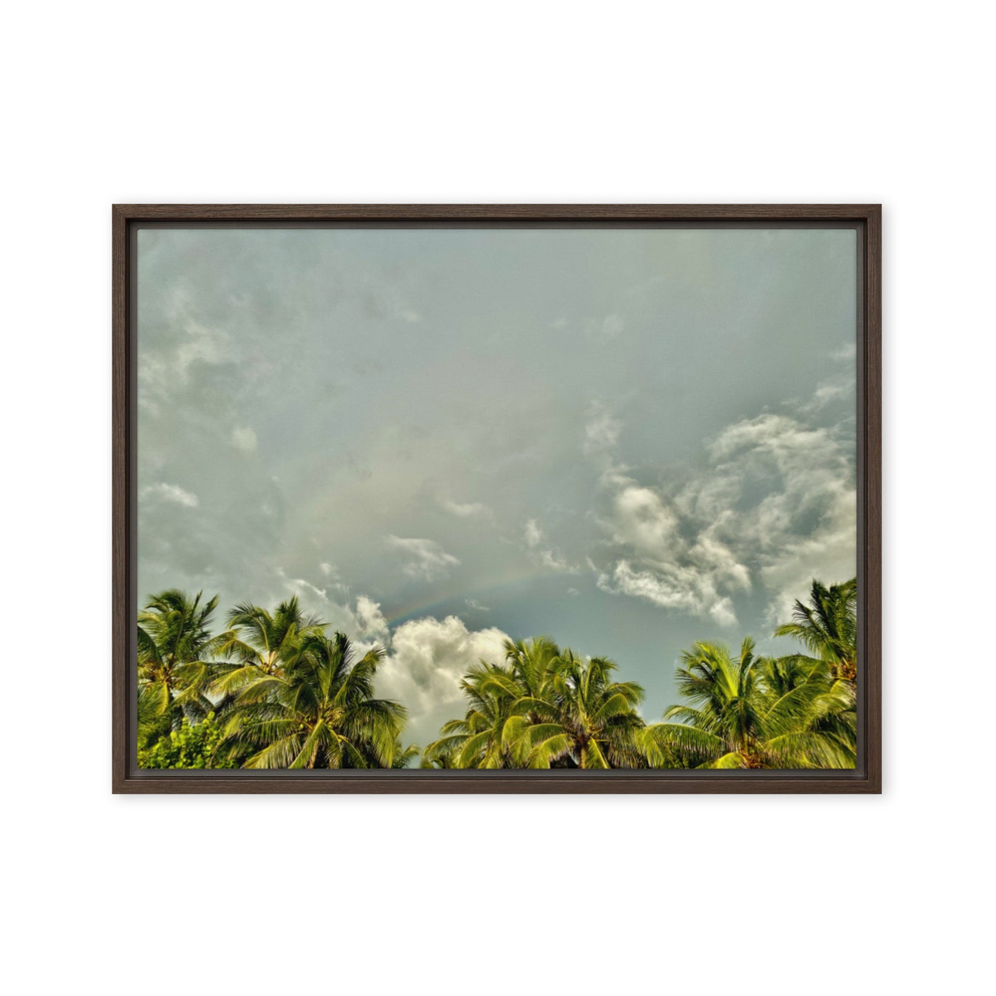 Good Fortune in Paradise (Framed Canvas)