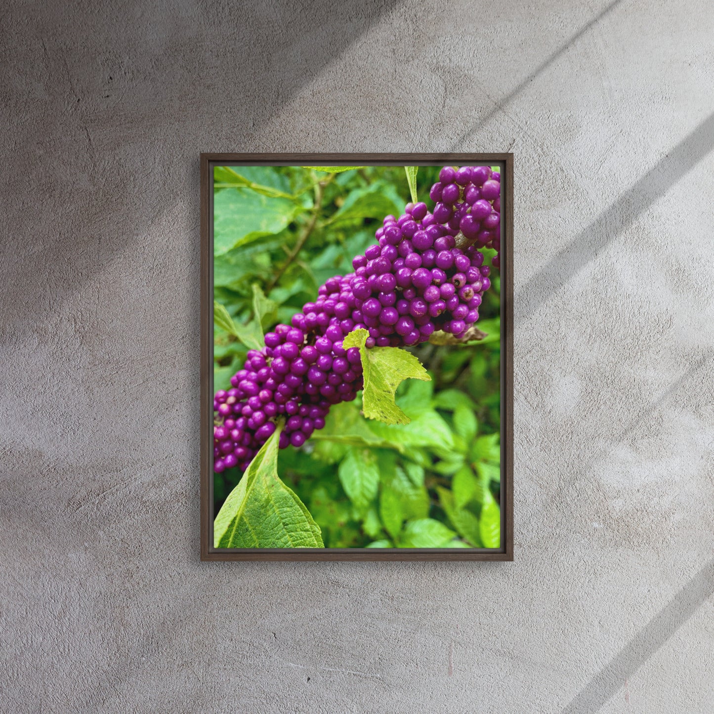 Beautyberry (Framed Canvas)