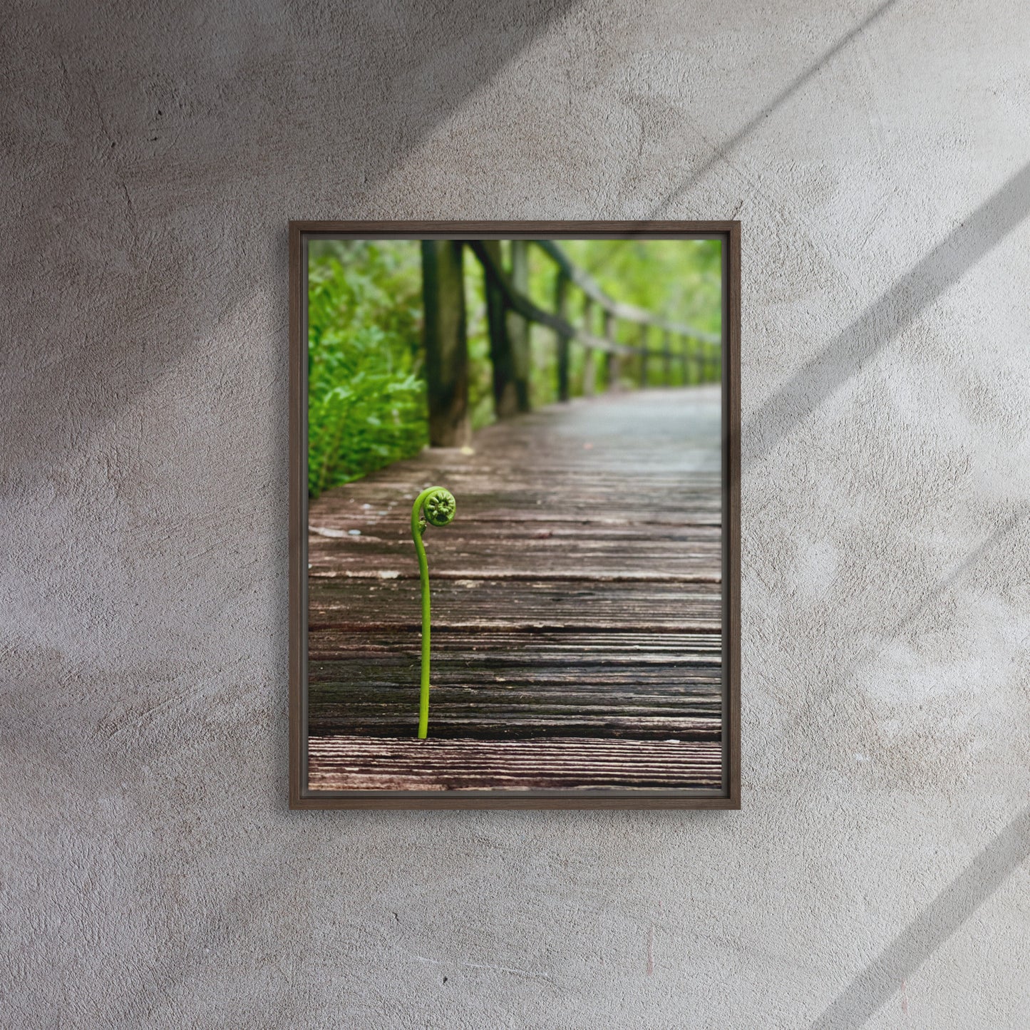 The Sprout (Framed Canvas)