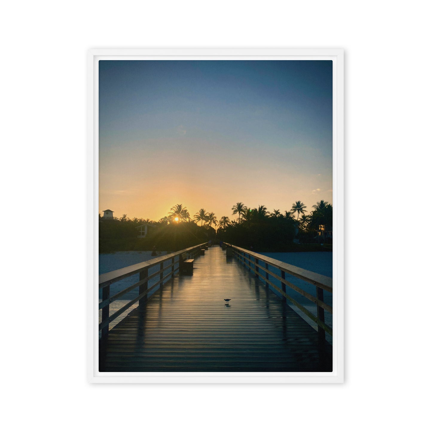 Early Bird Morning (Framed Canvas)