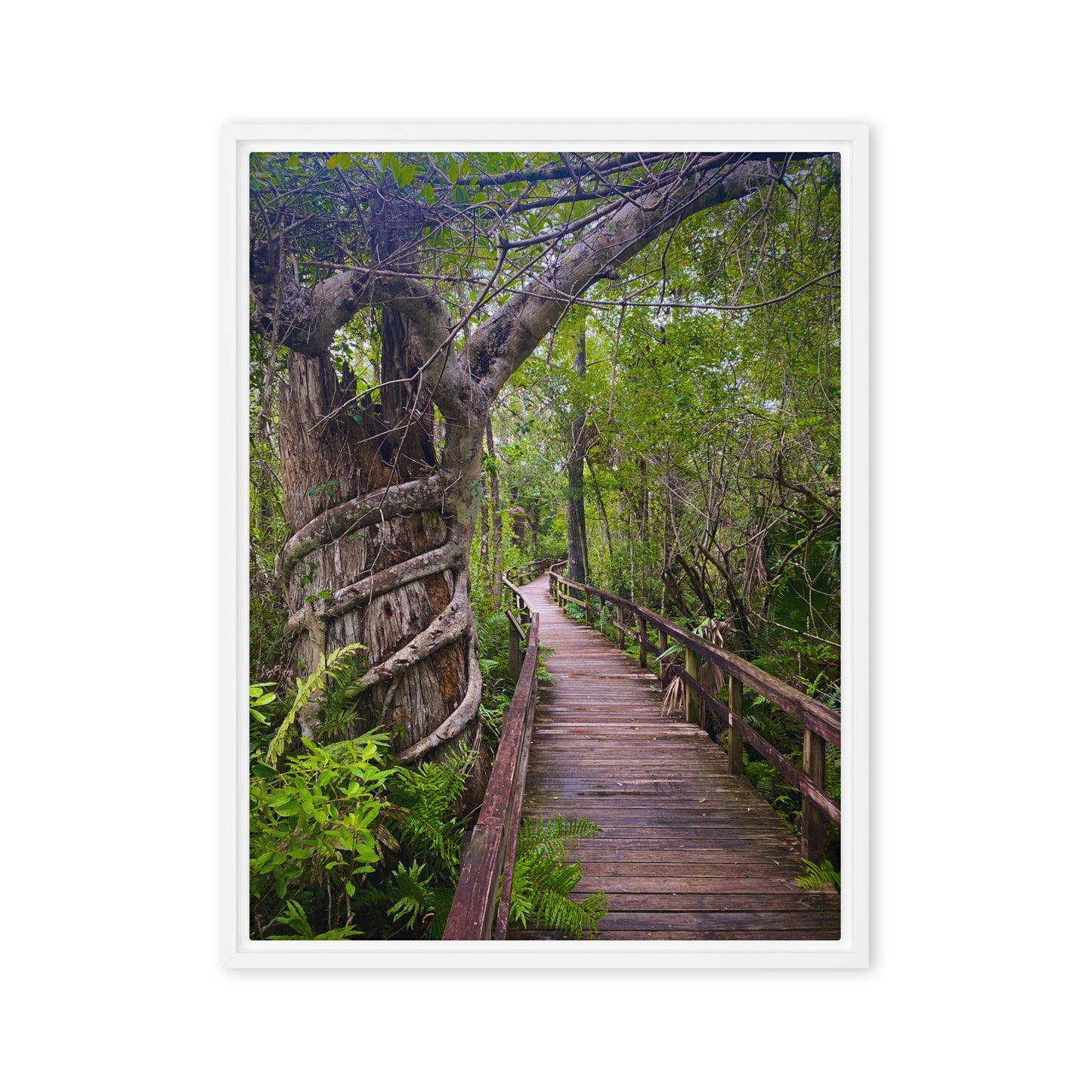 Wilderness Walk (Framed Canvas)