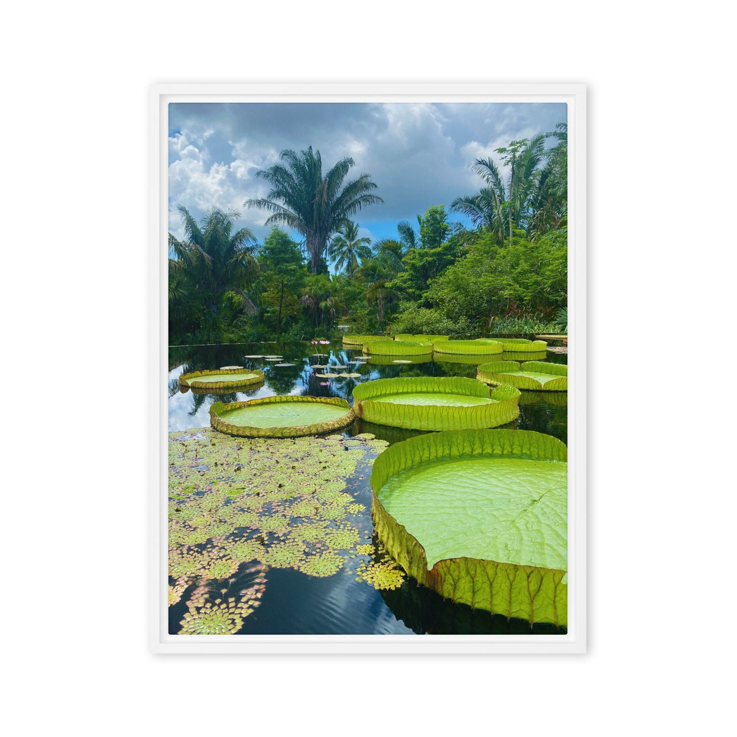 Botanical Lily Pads (Framed Canvas)