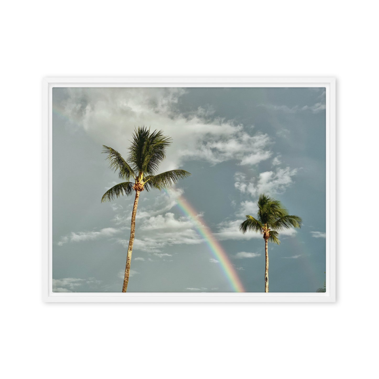 Post Storm Calm (Framed Canvas)