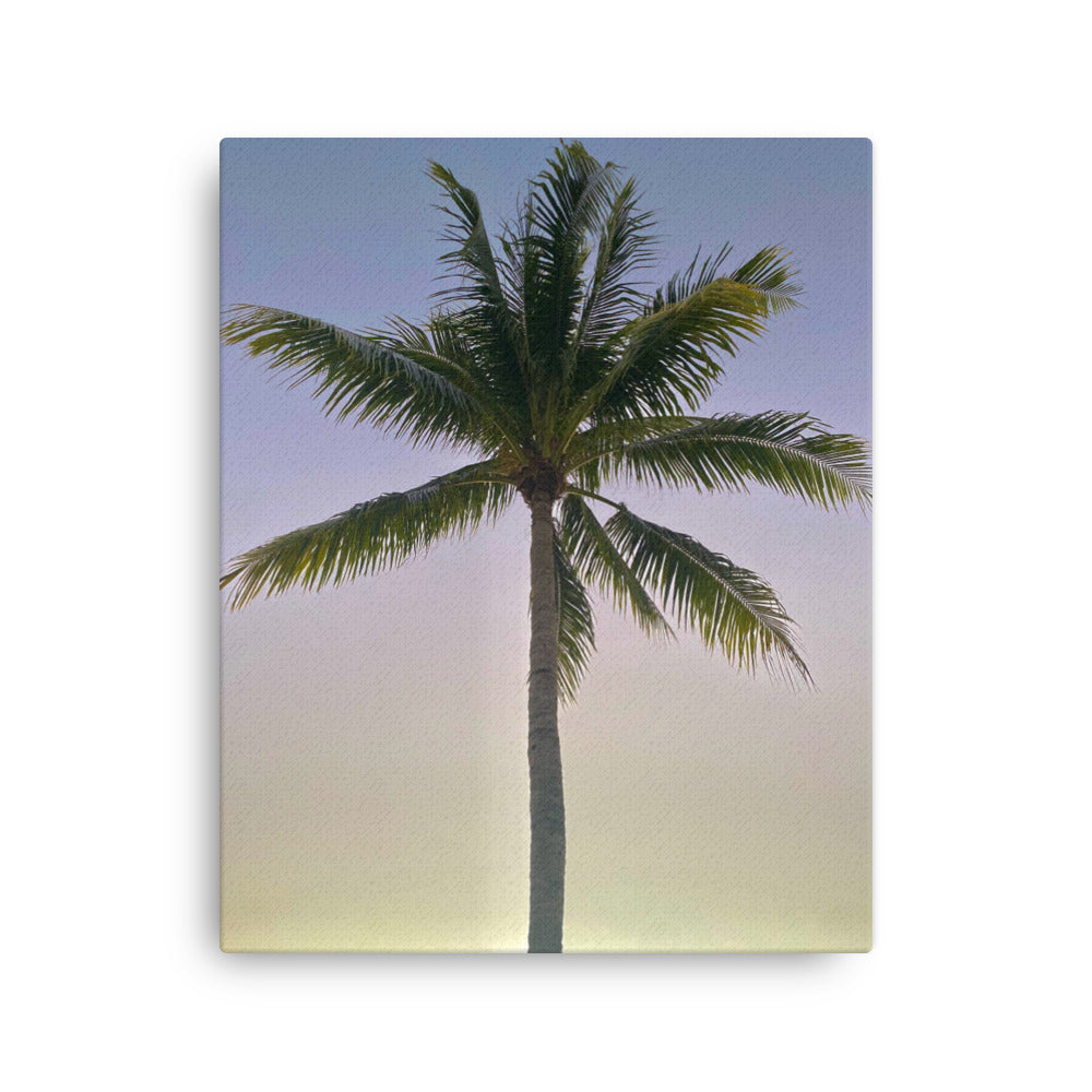 Morning Palm (Thin canvas)