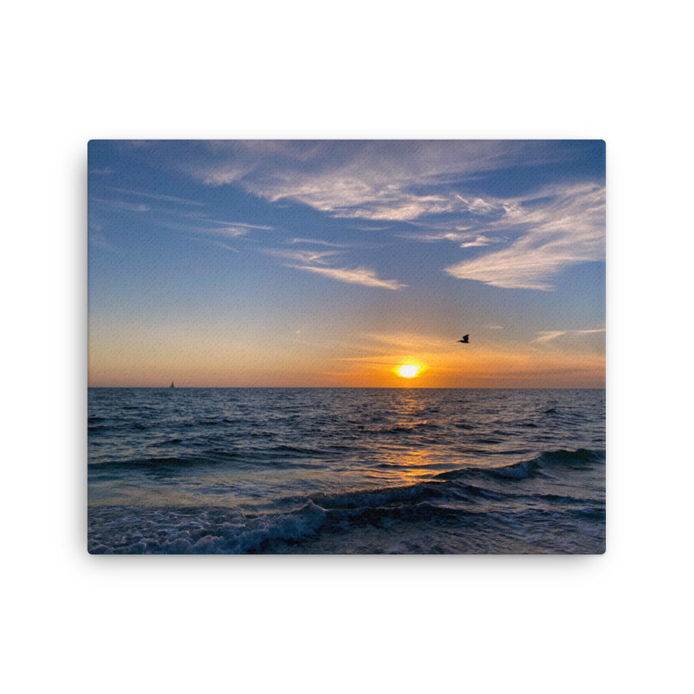 The Pelican Sunset (Thin Canvas)