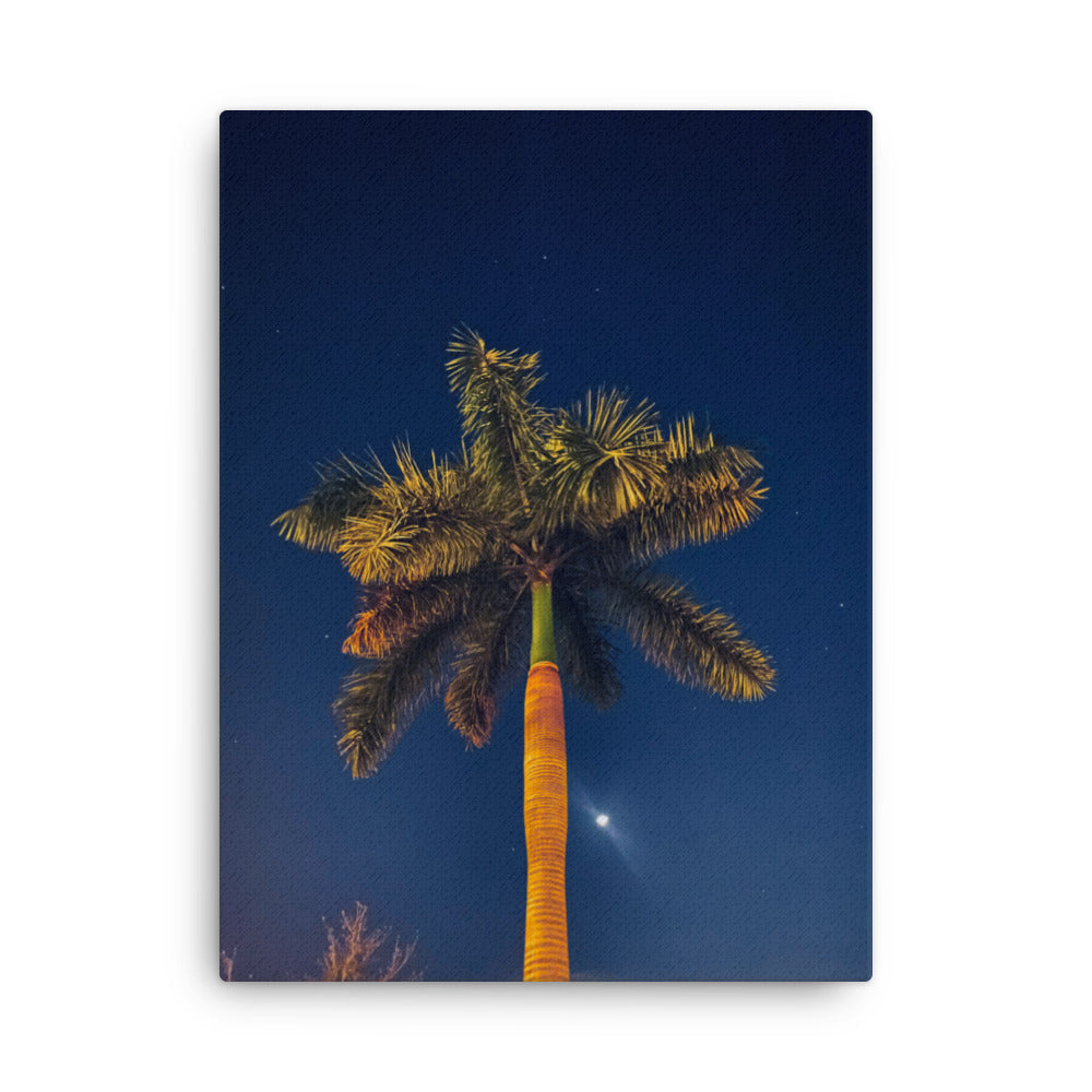 Midnight Palm (Thin Canvas)
