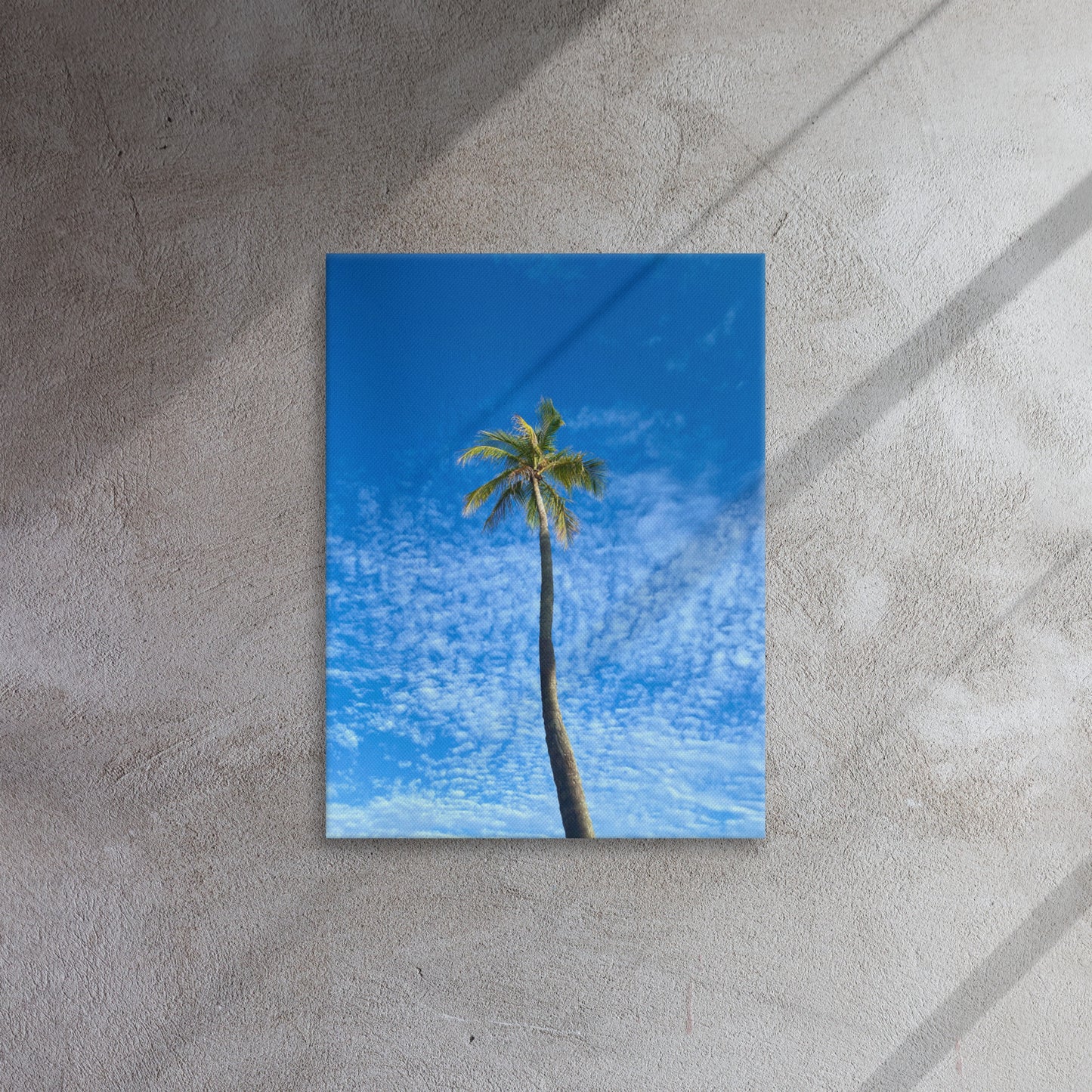 Port Royal Palm (Thin Canvas)