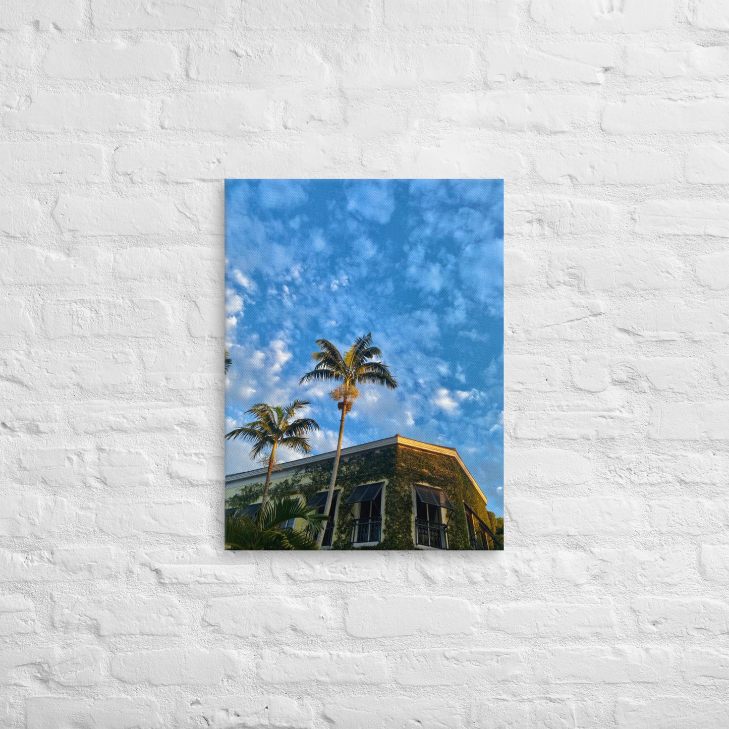 3rd Vine Morning (Thin Canvas)