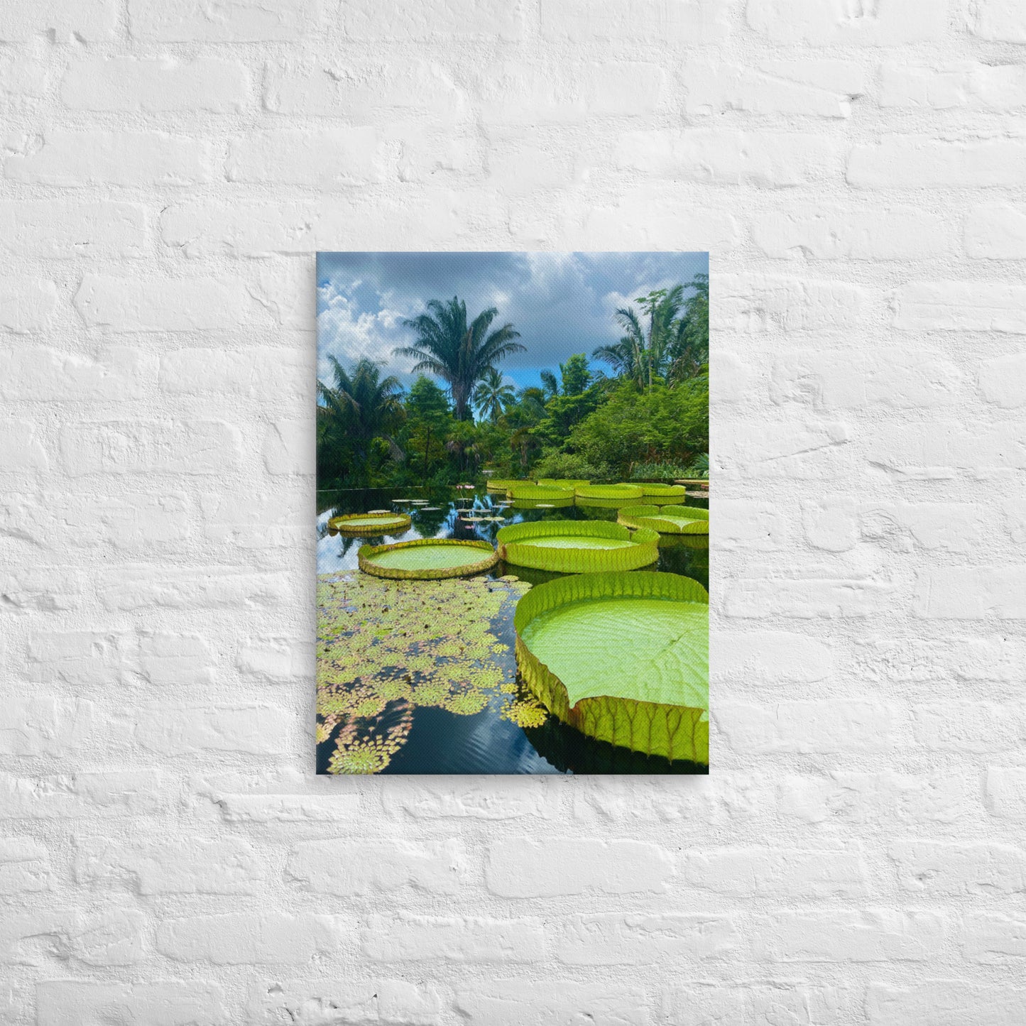 Botanical Lily Pads (Thin Canvas)