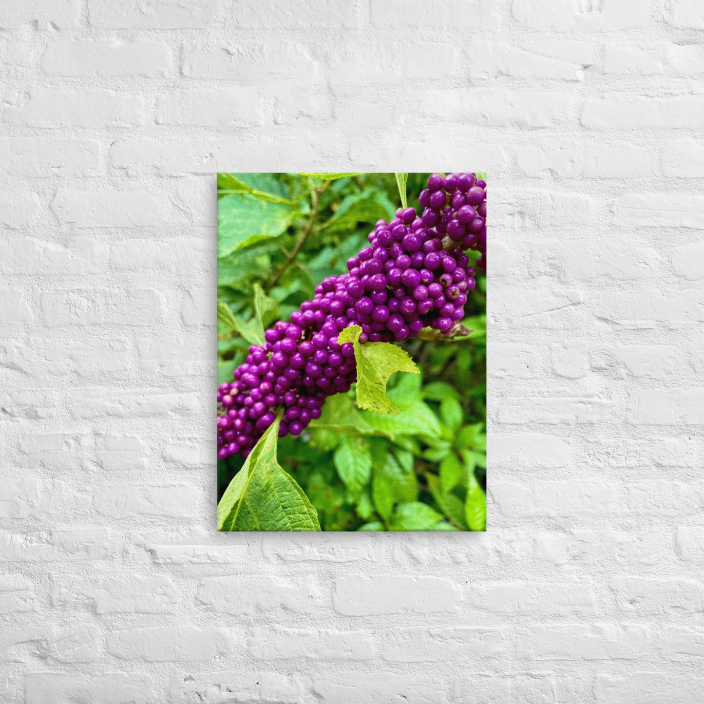 Beautyberry (Thin Canvas)