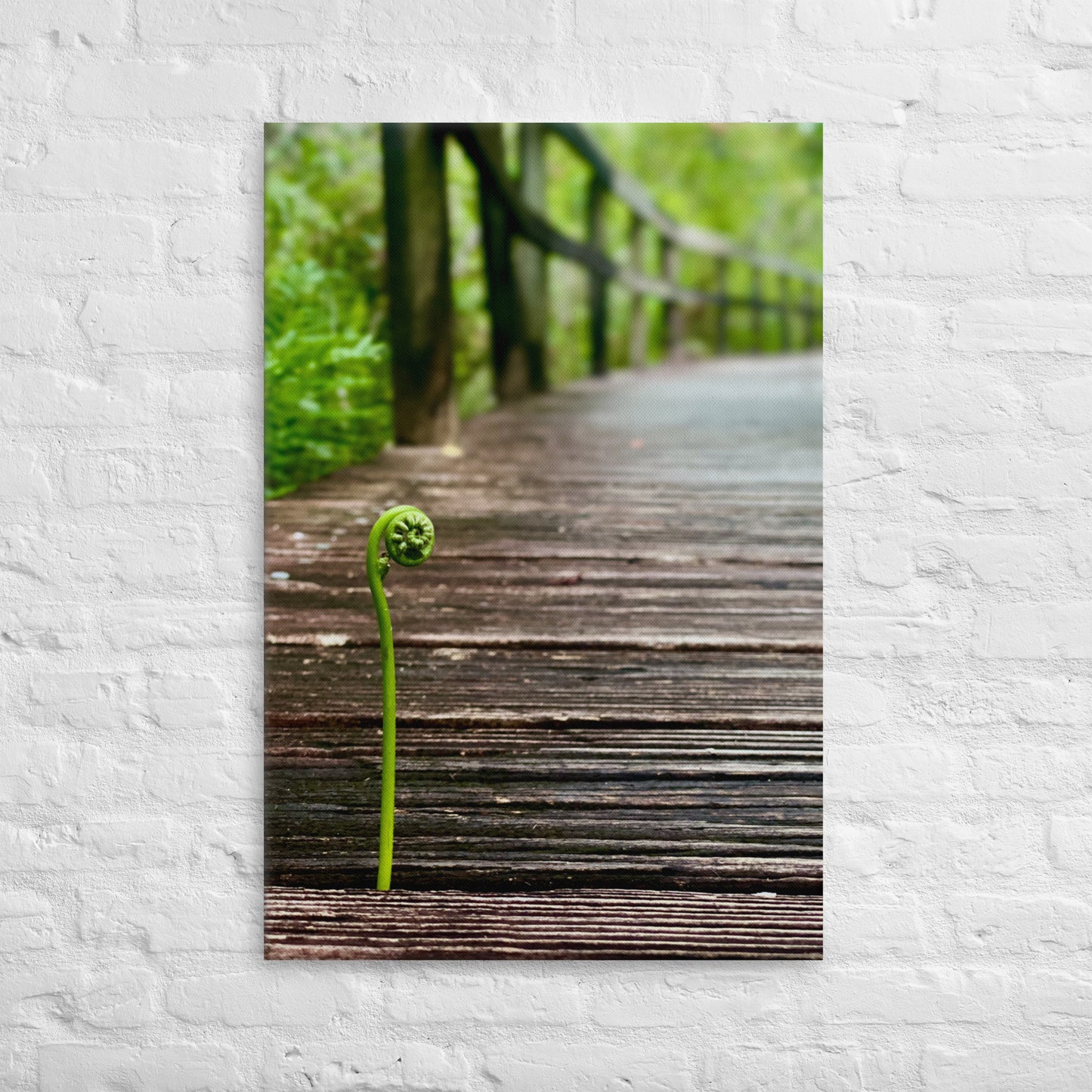 The Sprout (Thin Canvas)