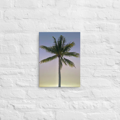 Morning Palm