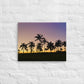 Lavender Palms