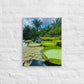 Botanical Lily Pads