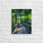 The Tropical Trail