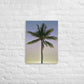 Morning Palm