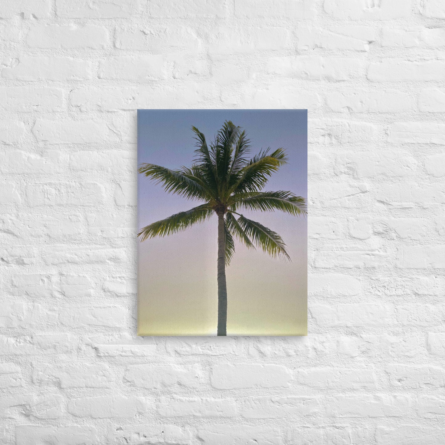 Morning Palm