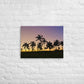 Lavender Palms
