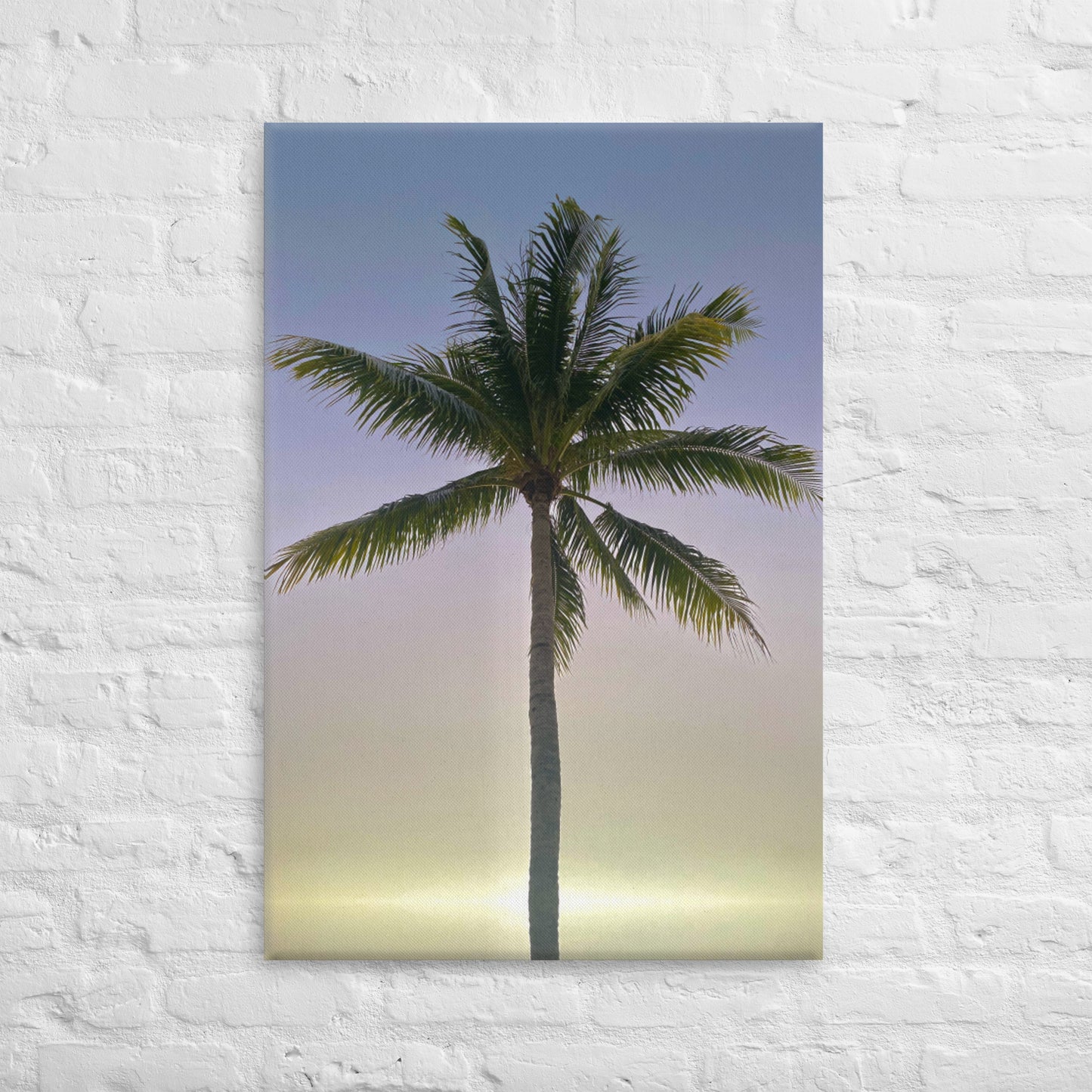 Morning Palm