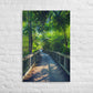 The Tropical Trail
