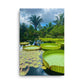 Botanical Lily Pads