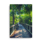 The Tropical Trail