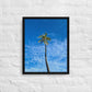 Port Royal Palm (Framed)