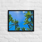 Nap Under the Palms (Framed canvas)