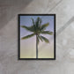 Morning Palm (Framed Canvas)
