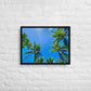 Nap Under the Palms (Framed canvas)
