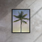 Morning Palm (Framed Canvas)