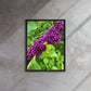Beautyberry (Framed Canvas)