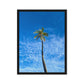 Port Royal Palm (Framed)