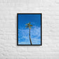 Port Royal Palm (Framed)