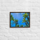 Nap Under the Palms (Framed canvas)
