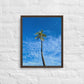 Port Royal Palm (Framed)