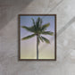 Morning Palm (Framed Canvas)