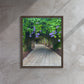 A Stroll Through The Gardens (Framed Canvas)