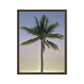 Morning Palm (Framed Canvas)