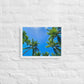Nap Under the Palms (Framed canvas)