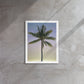 Morning Palm (Framed Canvas)