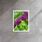 Beautyberry (Framed Canvas)