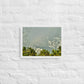 Good Fortune in Paradise (Framed Canvas)