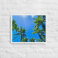 Nap Under the Palms (Framed canvas)
