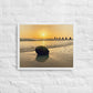 Washed Up (Framed Canvas)