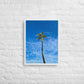 Port Royal Palm (Framed)